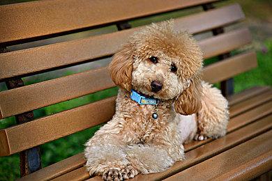 N卡528.24驱动推出 为《死亡空间：重制版》优化